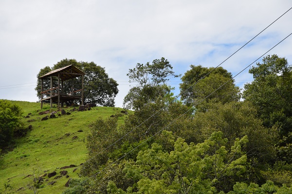 Um dos circuitos do canopy