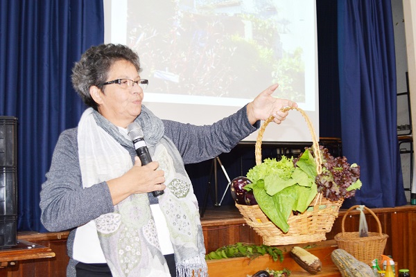 Apresentação da comunidade