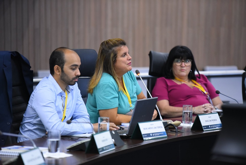 Denise Lima, representante do CREA-RS