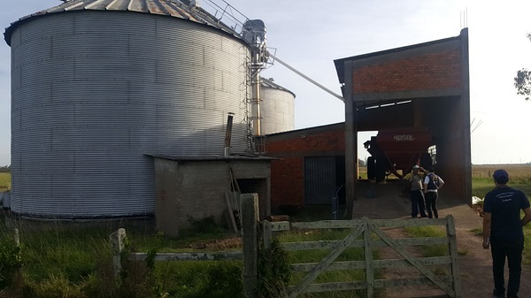 Ação visou que somente profissionais legalmente habilitados sejam responsáveis pela assistência técnica e beneficiadoras de produtos agrícolas.