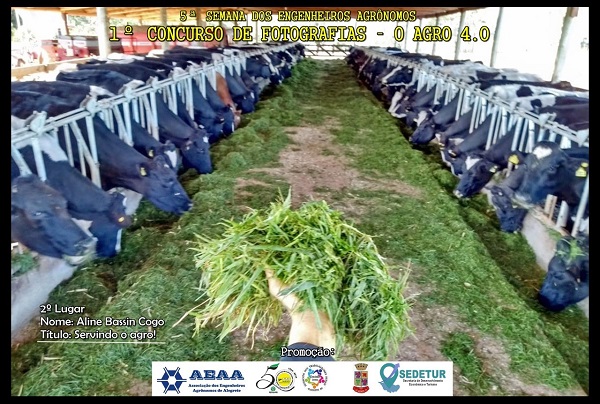 2º lugar, Servindo o Agro, de Aline Bassin Cogo