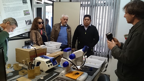 Superlotação também se mantém