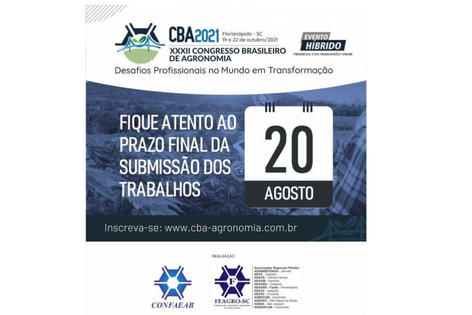 Imagem da notícia