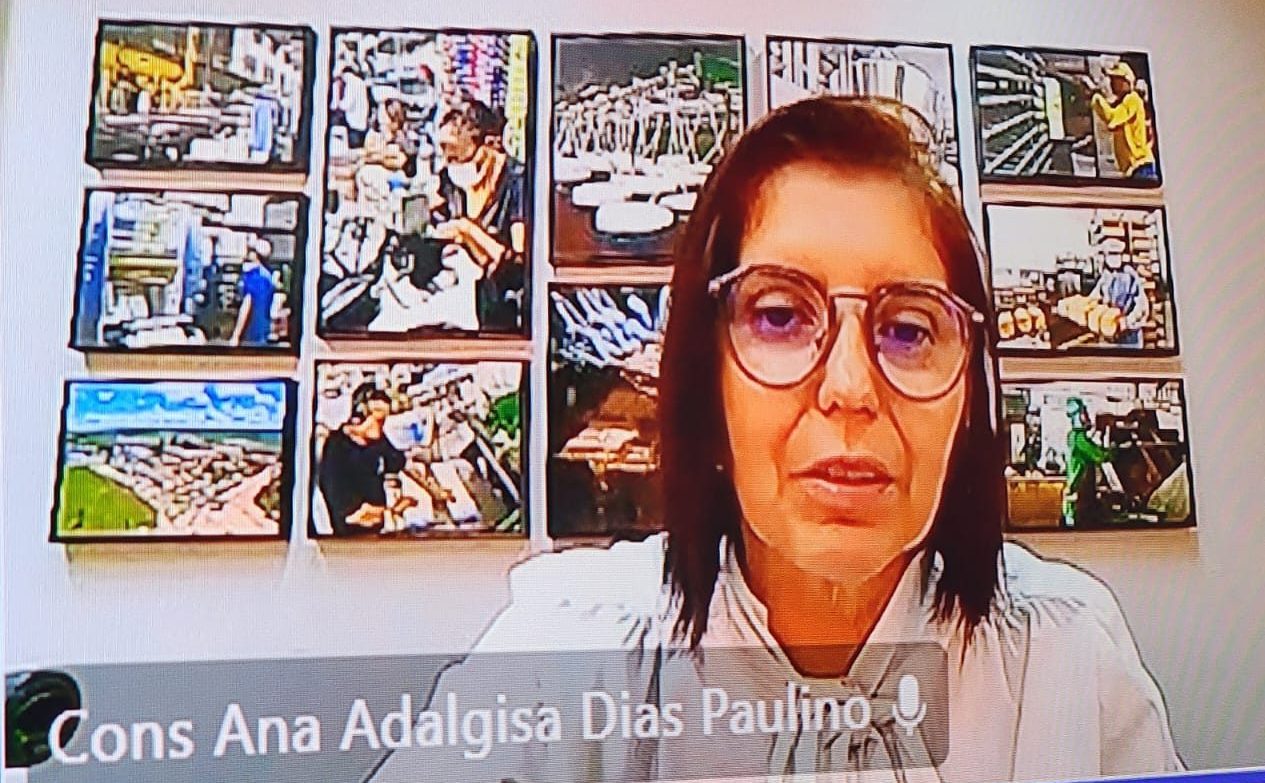 Presidente em exercício do Confea, eng. civ. Ana Adalgisa Dias Paulino